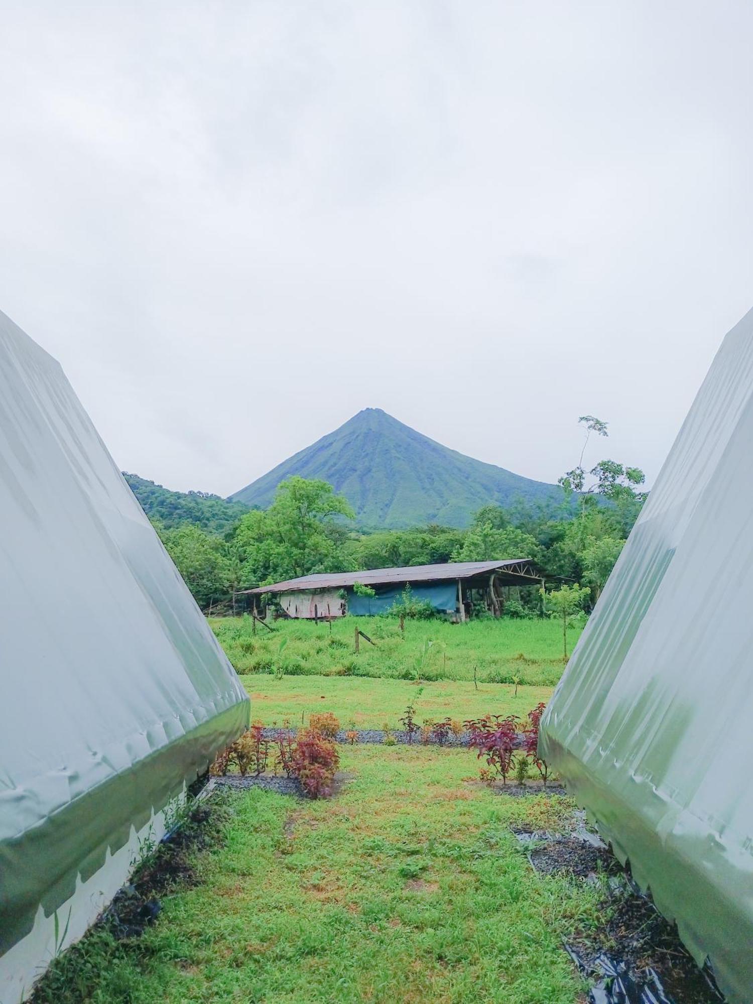 הוילה La Fortuna Flora Glamping De Abuela מראה חיצוני תמונה