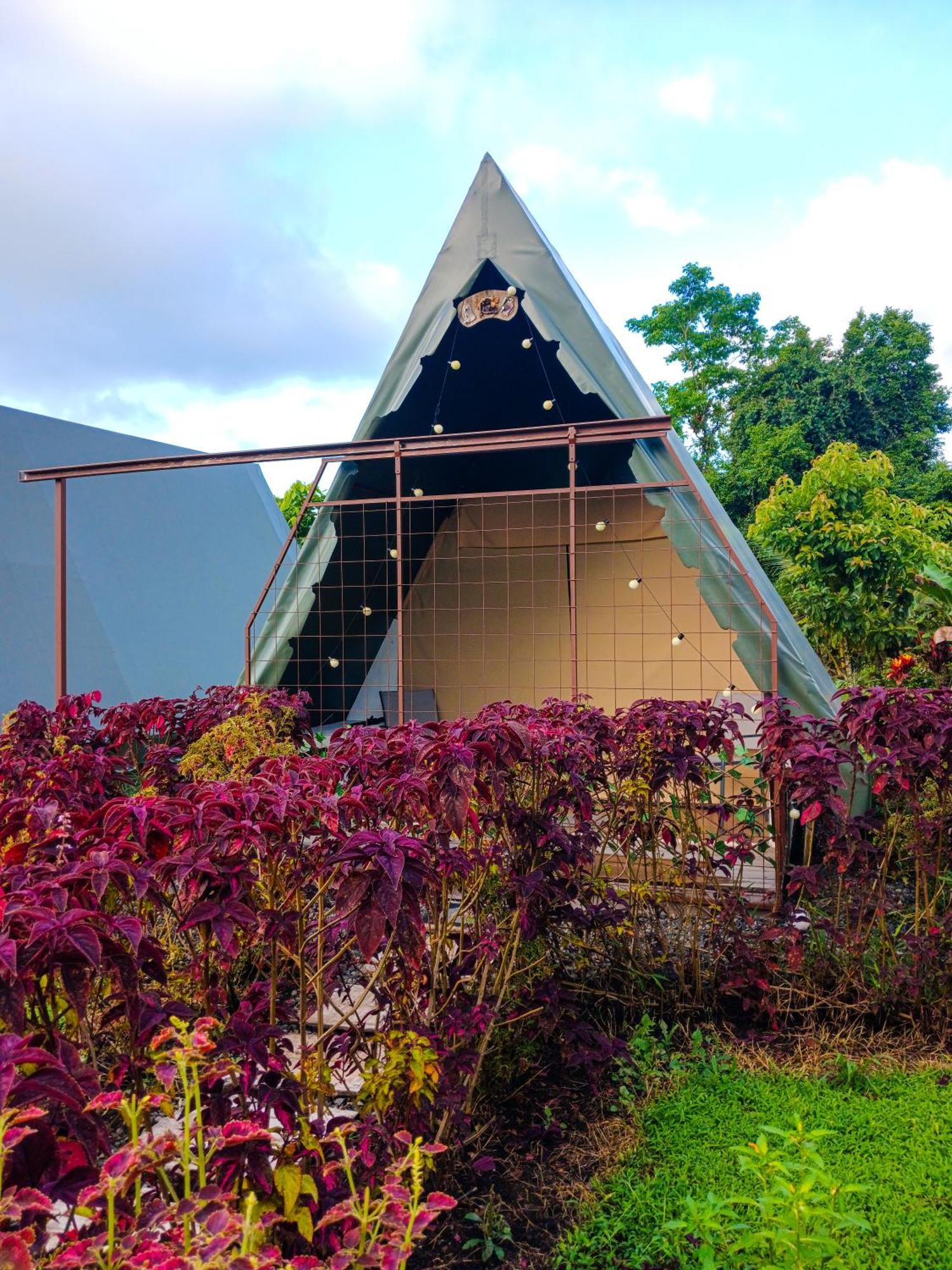 הוילה La Fortuna Flora Glamping De Abuela מראה חיצוני תמונה