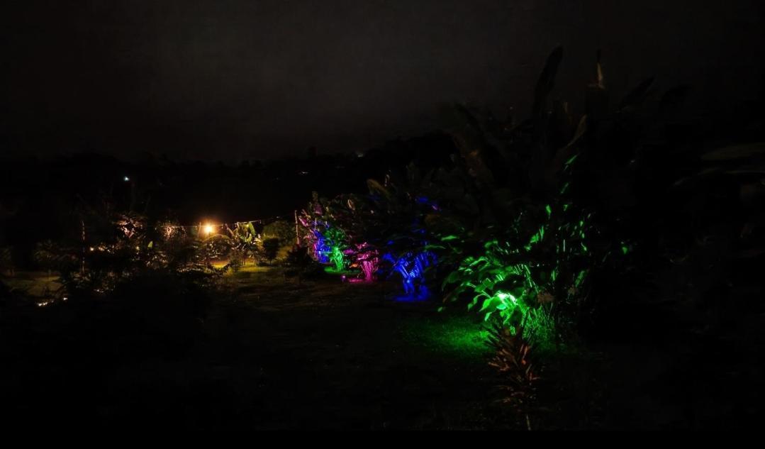 הוילה La Fortuna Flora Glamping De Abuela מראה חיצוני תמונה