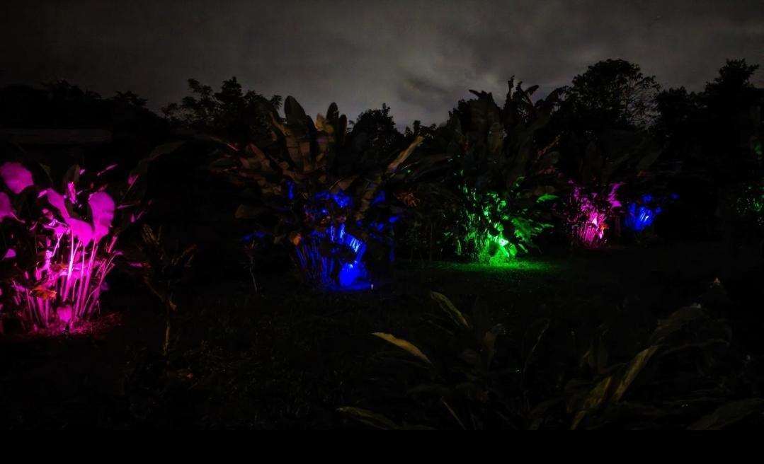 הוילה La Fortuna Flora Glamping De Abuela מראה חיצוני תמונה